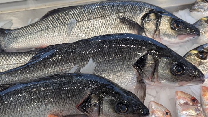 PXL_20251203_063940786.MP