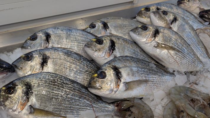 PXL_20251203_063947110.MP