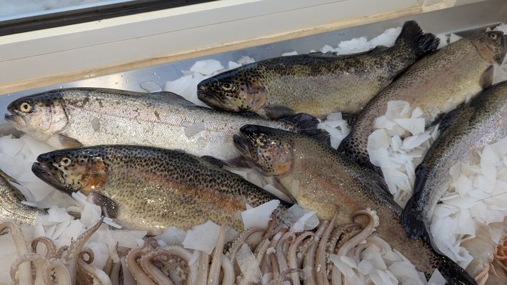 PXL_20251203_063953109.MP