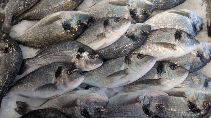 PXL_20251203_064009865.MP