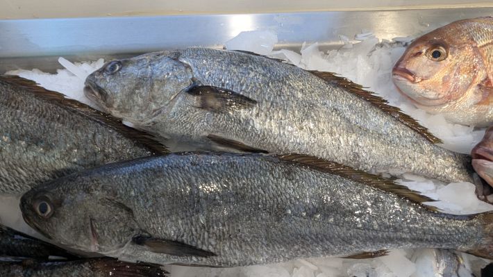 PXL_20251203_064020535.MP