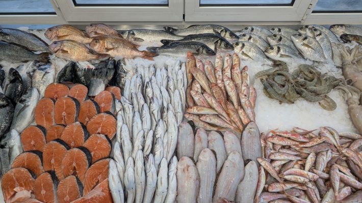 PXL_20251203_064032491.MP