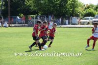alexandriamou_thlemaxh0024