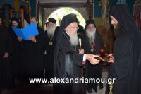 alexandriamou_bartholomeos0069