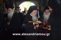 alexandriamou_bartholomeos0070