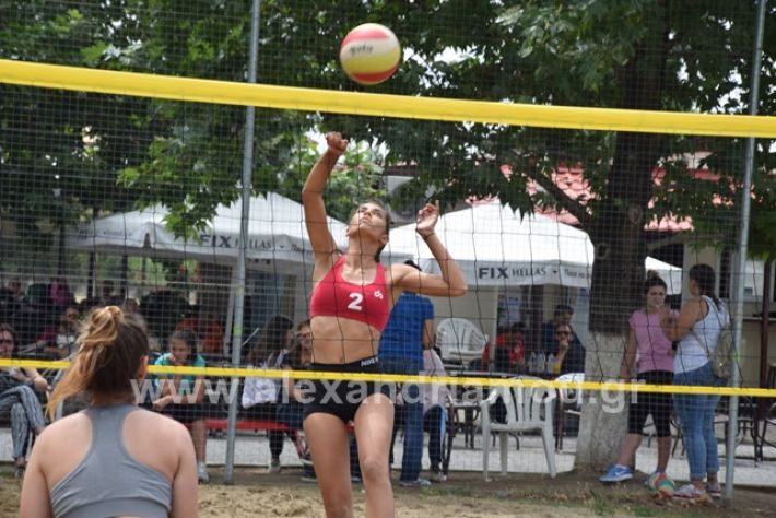 alexandriamou.gr_volei1DSC_0833