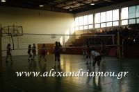 alexandriamou_gas_volei017