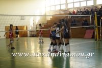 alexandriamou_gas_volei019