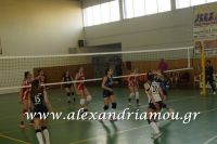 alexandriamou_gas_volei024