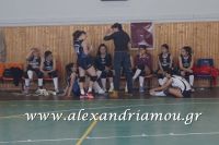 alexandriamou_gas_volei039