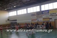 alexandriamou_gas_volei052