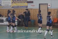 alexandriamou_gas_volei054