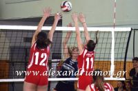 alexandriamou_gas_volei066