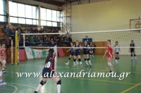 alexandriamou_gas_volei068