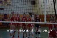 alexandriamou_gas_volei093