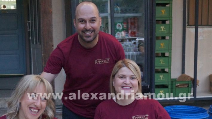 www.alexandriamou.gr_vrisaki_21.6.25DSC02686