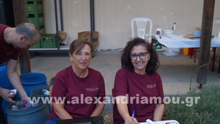 www.alexandriamou.gr_vrisaki_21.6.25DSC02689