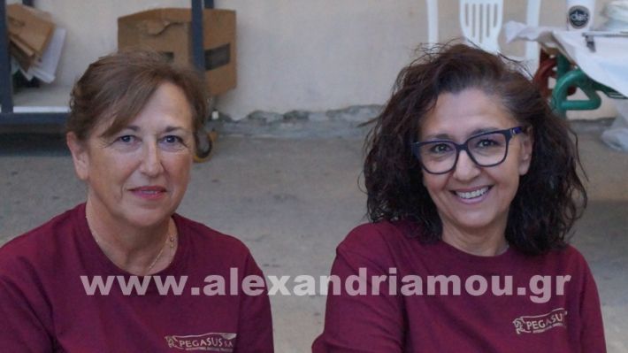 www.alexandriamou.gr_vrisaki_21.6.25DSC02690