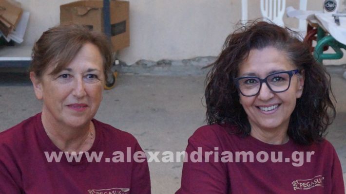 www.alexandriamou.gr_vrisaki_21.6.25DSC02692