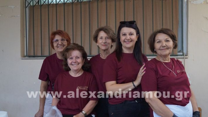www.alexandriamou.gr_vrisaki_21.6.25DSC02698