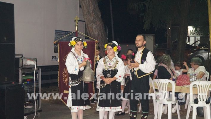 www.alexandriamou.gr_vrisaki_21.6.25DSC02732