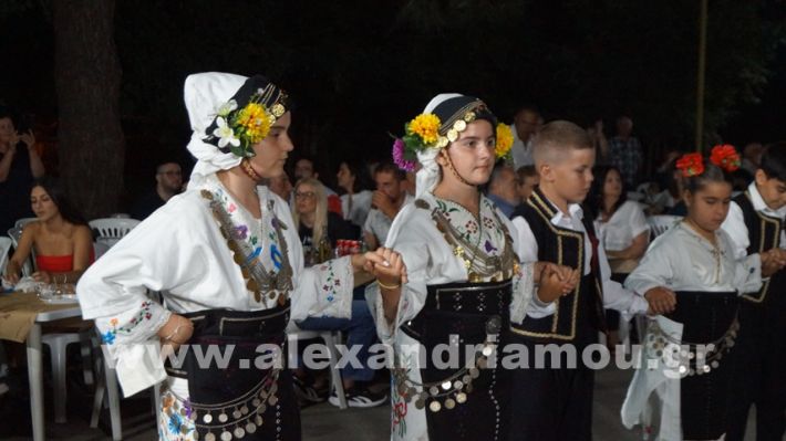 www.alexandriamou.gr_vrisaki_21.6.25DSC02762