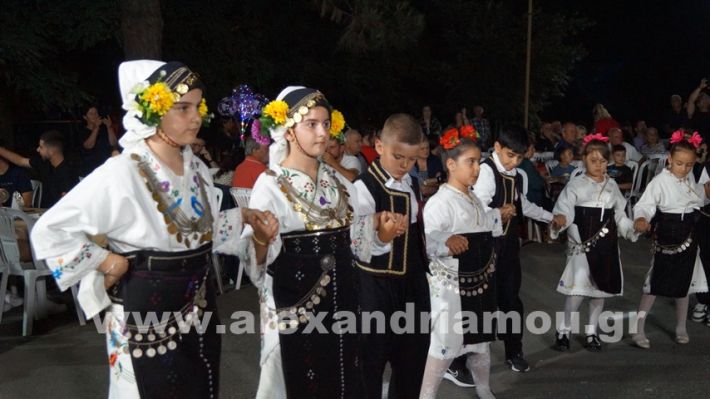 www.alexandriamou.gr_vrisaki_21.6.25DSC02763