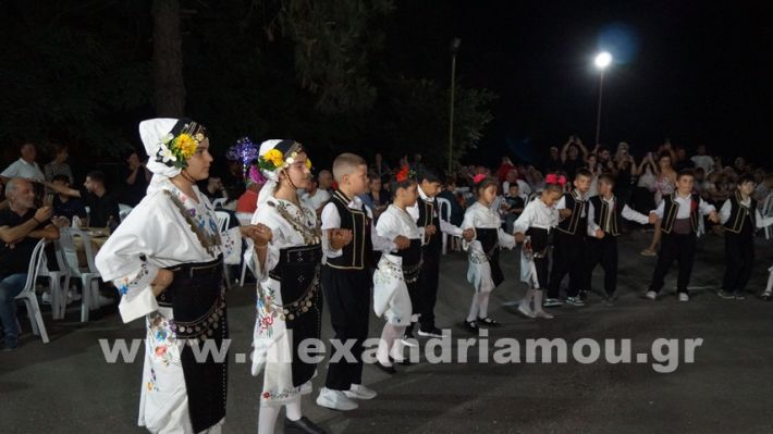 www.alexandriamou.gr_vrisaki_21.6.25DSC02764