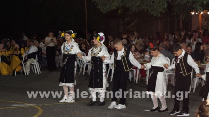 www.alexandriamou.gr_vrisaki_21.6.25DSC02768