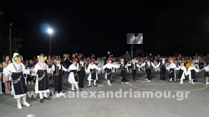 www.alexandriamou.gr_vrisaki_21.6.25DSC02774