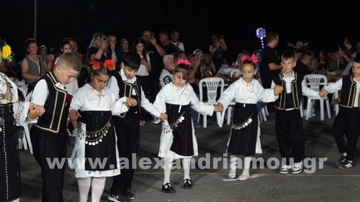 www.alexandriamou.gr_vrisaki_21.6.25DSC02775