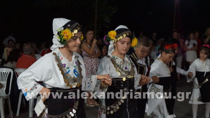 www.alexandriamou.gr_vrisaki_21.6.25DSC02778