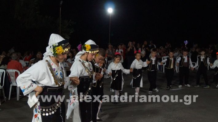 www.alexandriamou.gr_vrisaki_21.6.25DSC02779