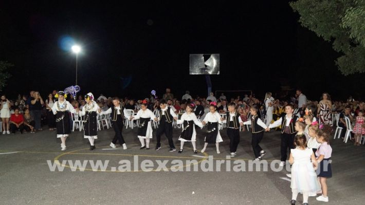 www.alexandriamou.gr_vrisaki_21.6.25DSC02781