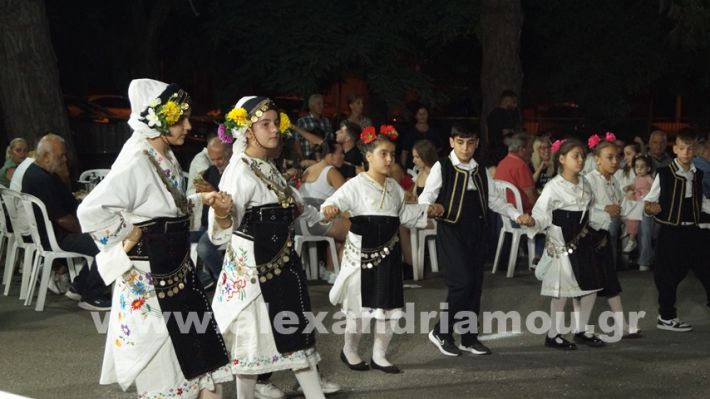 www.alexandriamou.gr_vrisaki_21.6.25DSC02786