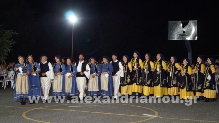 www.alexandriamou.gr_vrisaki_21.6.25DSC02803