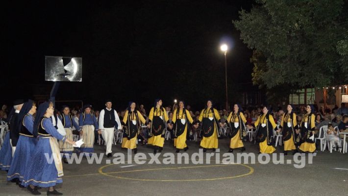 www.alexandriamou.gr_vrisaki_21.6.25DSC02812