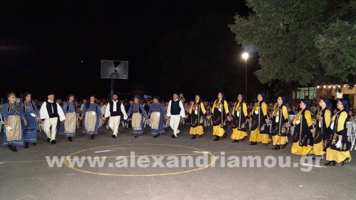www.alexandriamou.gr_vrisaki_21.6.25DSC02817