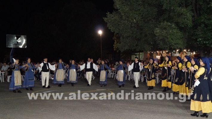 www.alexandriamou.gr_vrisaki_21.6.25DSC02821