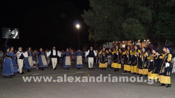 www.alexandriamou.gr_vrisaki_21.6.25DSC02823