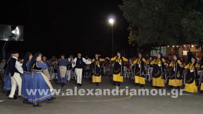 www.alexandriamou.gr_vrisaki_21.6.25DSC02825
