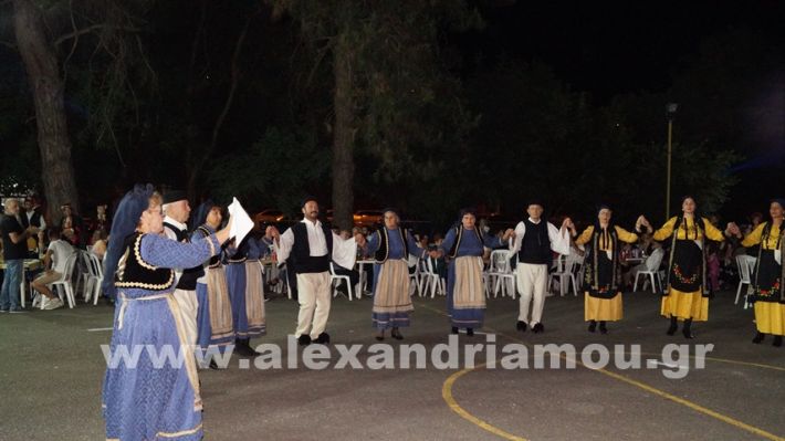 www.alexandriamou.gr_vrisaki_21.6.25DSC02828