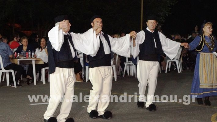 www.alexandriamou.gr_vrisaki_21.6.25DSC02838