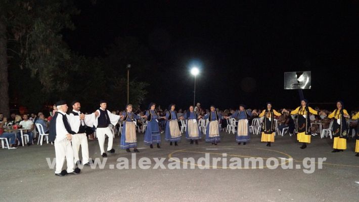www.alexandriamou.gr_vrisaki_21.6.25DSC02839