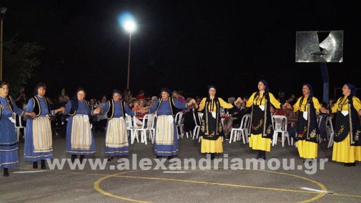www.alexandriamou.gr_vrisaki_21.6.25DSC02843