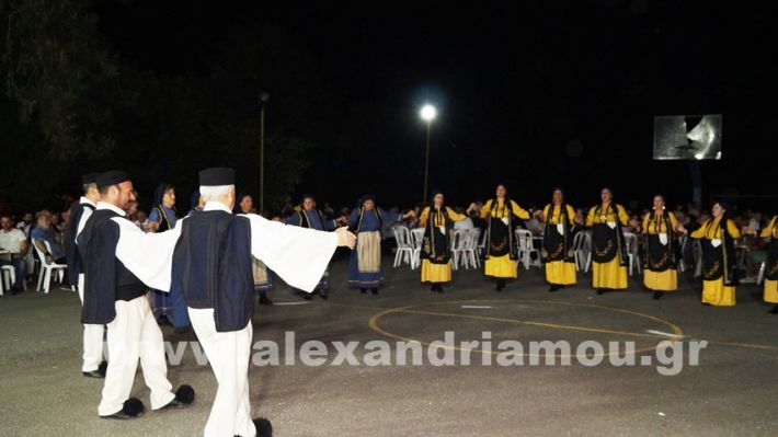 www.alexandriamou.gr_vrisaki_21.6.25DSC02844