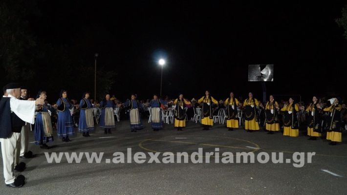 www.alexandriamou.gr_vrisaki_21.6.25DSC02845