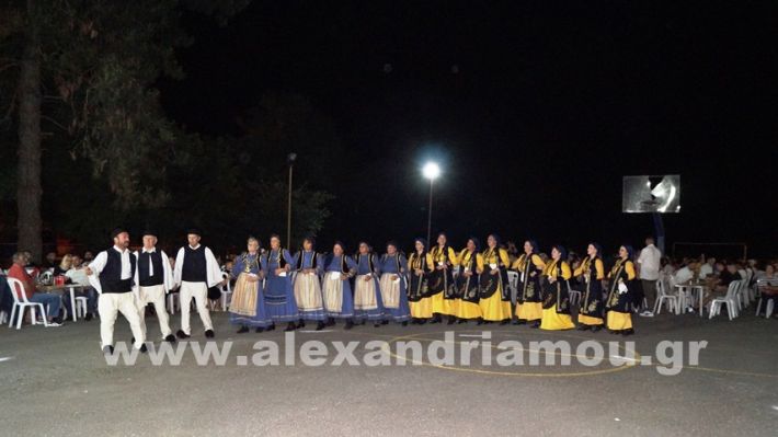 www.alexandriamou.gr_vrisaki_21.6.25DSC02848