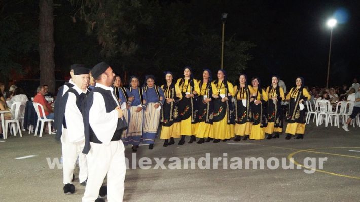 www.alexandriamou.gr_vrisaki_21.6.25DSC02851