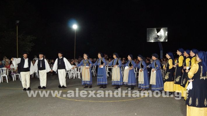 www.alexandriamou.gr_vrisaki_21.6.25DSC02853